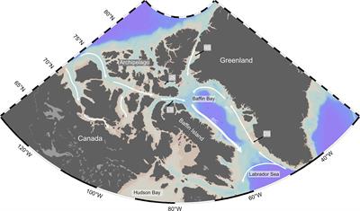 Sources and Cycling of Particulate Organic Matter in Baffin Bay: A Multi-Isotope δ13C, δ15N, and Δ14C Approach